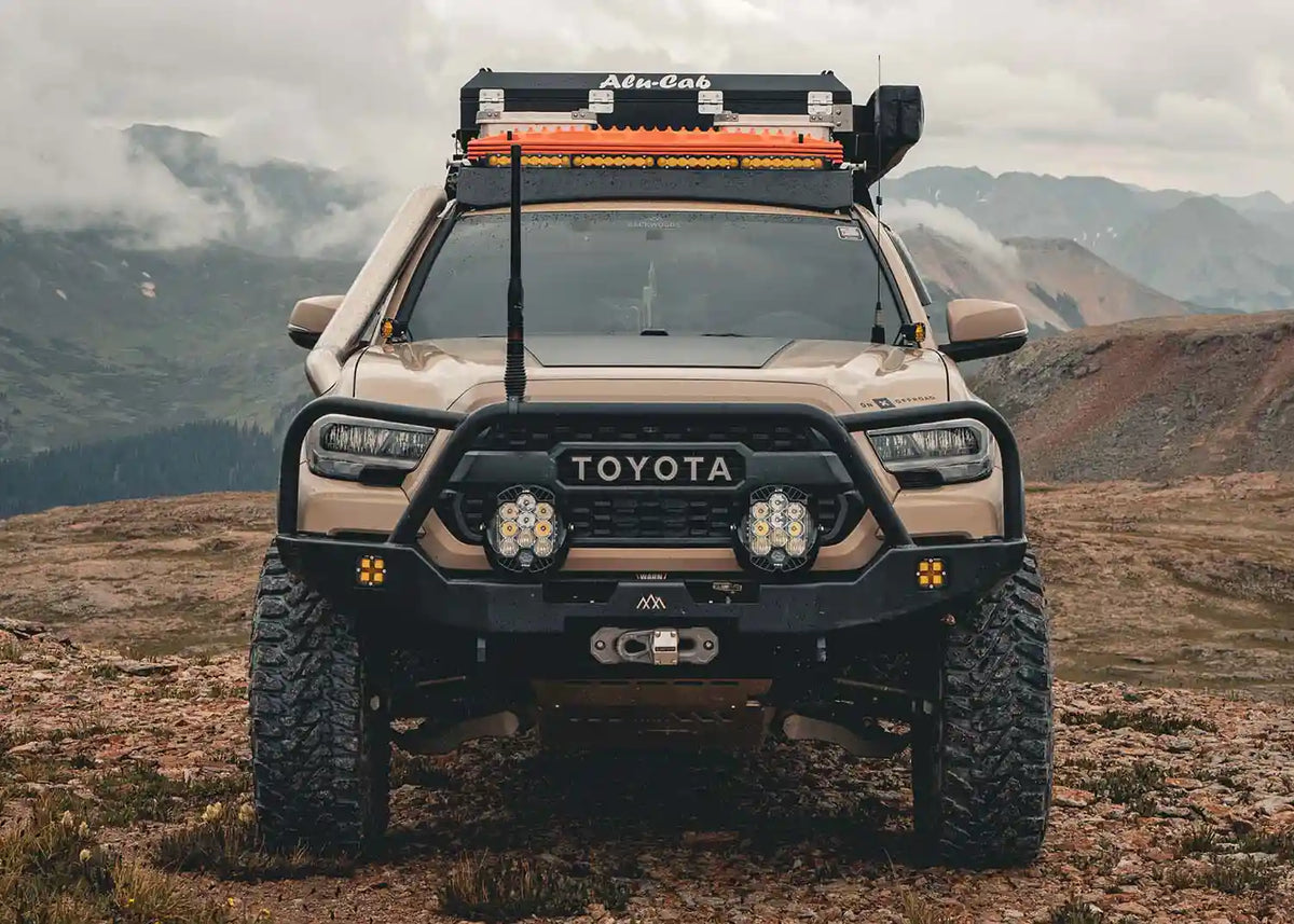 In the field