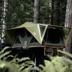 Andromeda Dark Green