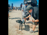 HydroPOD ACS RACK Shower Kit — Lifestyle shot: a dog gets rinsed off with the spray nozzle at an outdoor overland event next to a rooftop-tent-equipped truck.