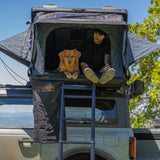 Camper and dog relaxing inside the OVS XD Atlas rooftop tent with the door open