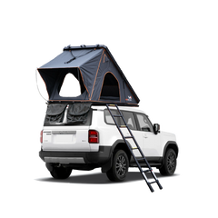 Polaris 1
